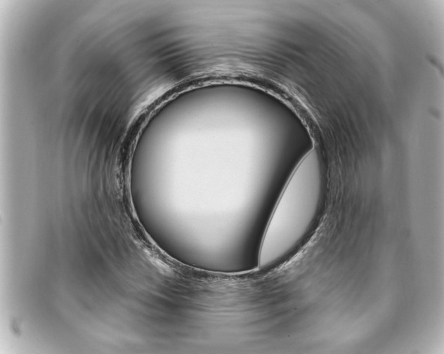 X0000094201018200710260908