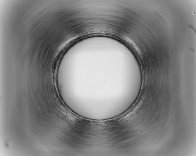 X0000094201019200710260908