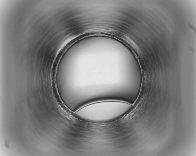 X0000094201020200710260908