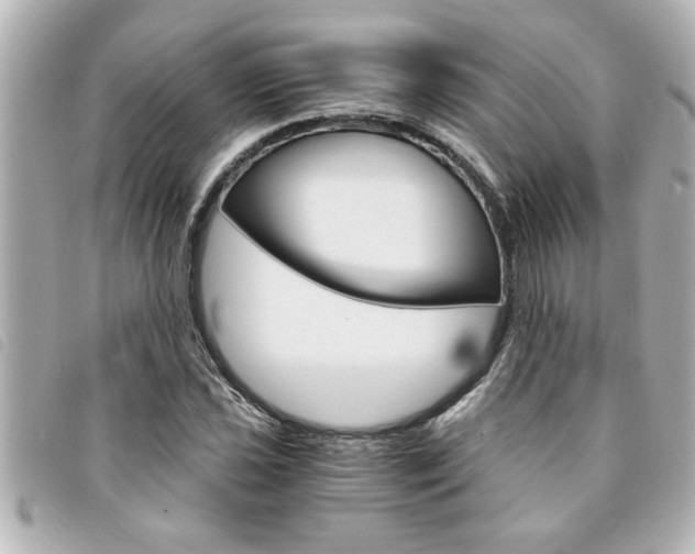 X0000094201021200710260908