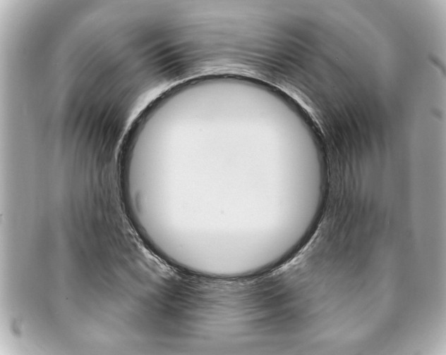 X0000094201022200710260908