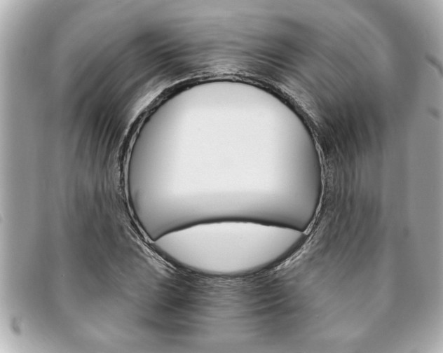 X0000094201023200710260908