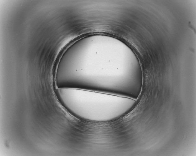 X0000094201024200710260908