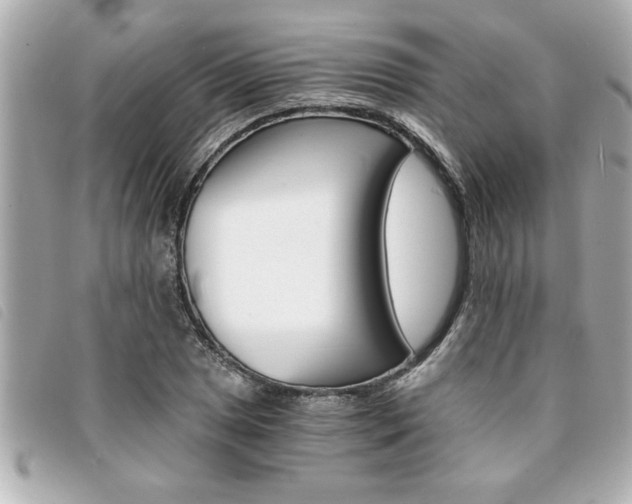 X0000094201025200710260908