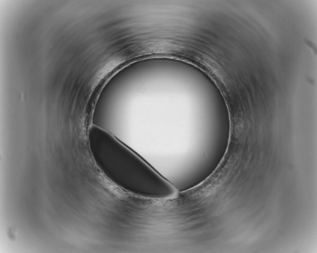 X0000094201026200710260908
