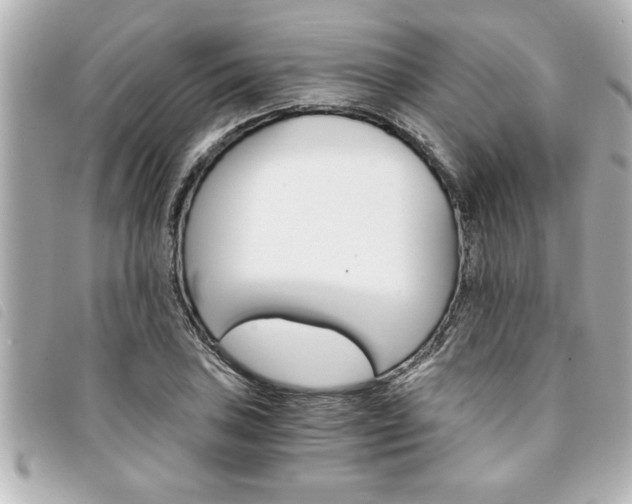 X0000094201027200710260908