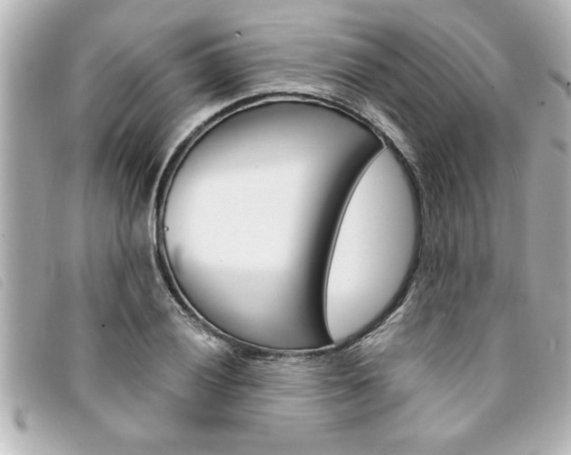 X0000094201028200710260908