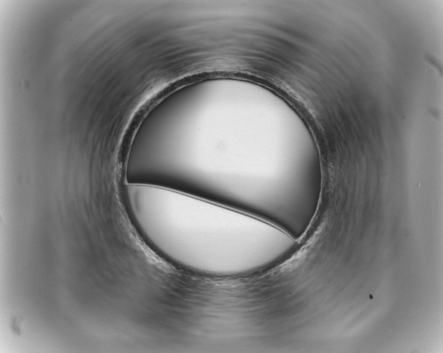 X0000094201029200710260908