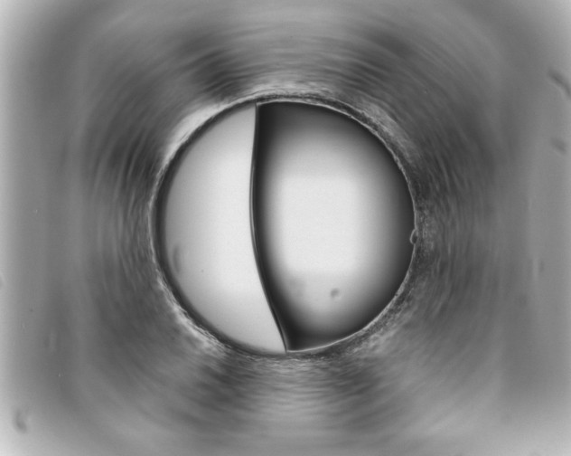 X0000094201030200710260908