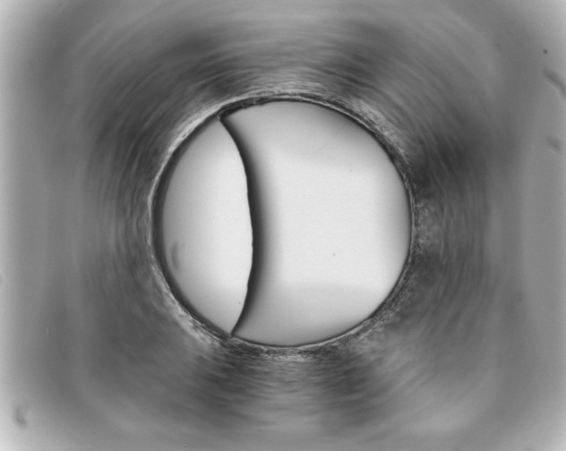 X0000094201031200710260908