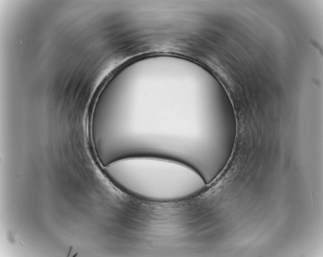 X0000094201032200710260908