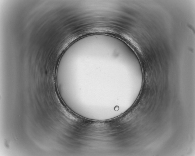 X0000094201033200710260908