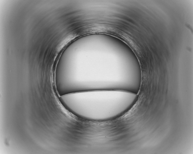 X0000094201034200710260908