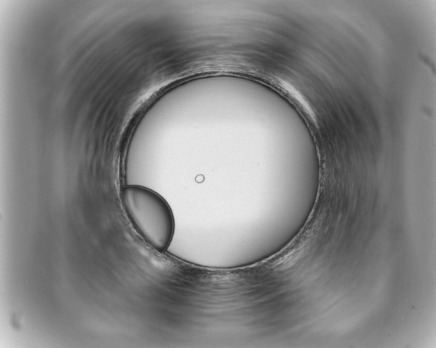 X0000094201035200710260908