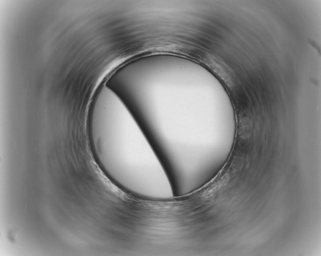 X0000094201036200710260908