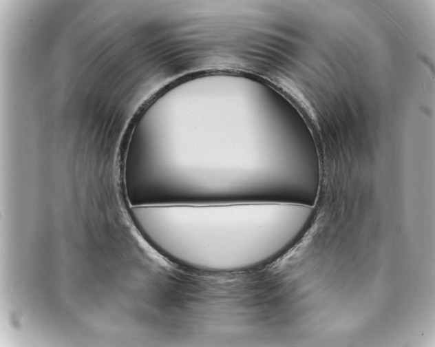 X0000094201037200710260908