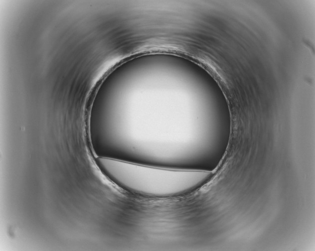 X0000094201038200710260908