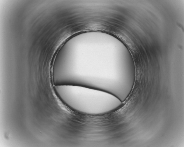 X0000094201039200710260908