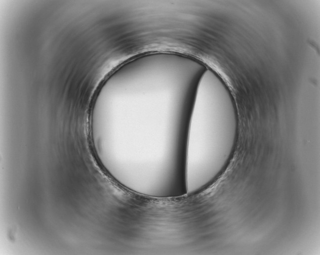 X0000094201040200710260908