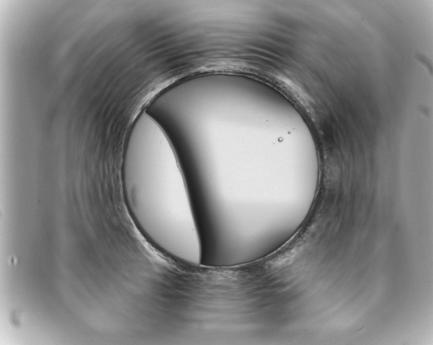 X0000094201041200710260908