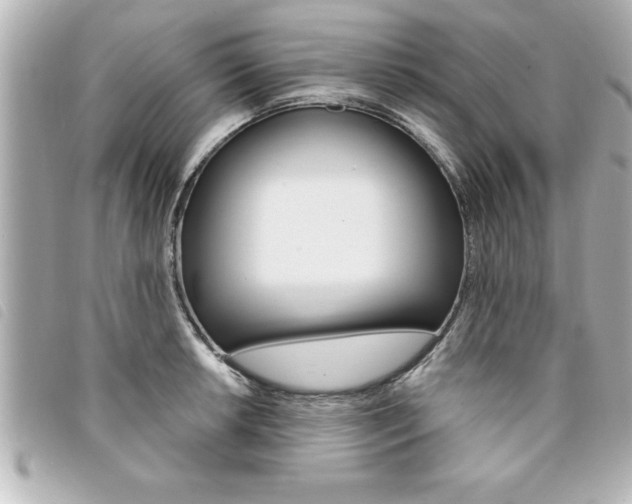 X0000094201042200710260908