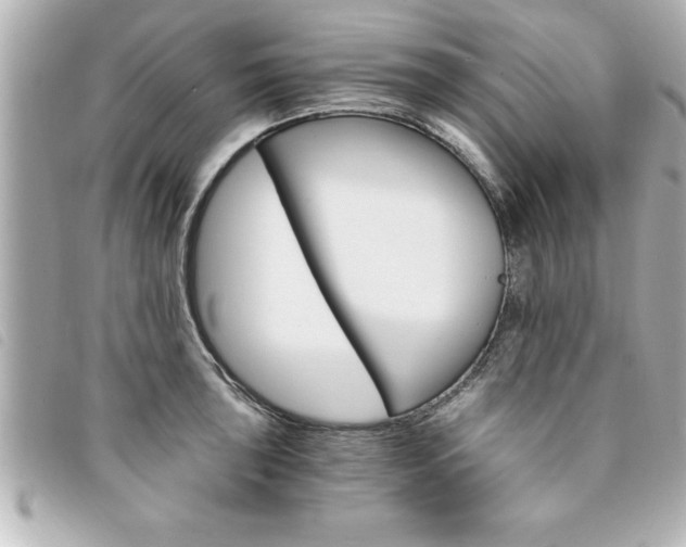X0000094201043200710260908