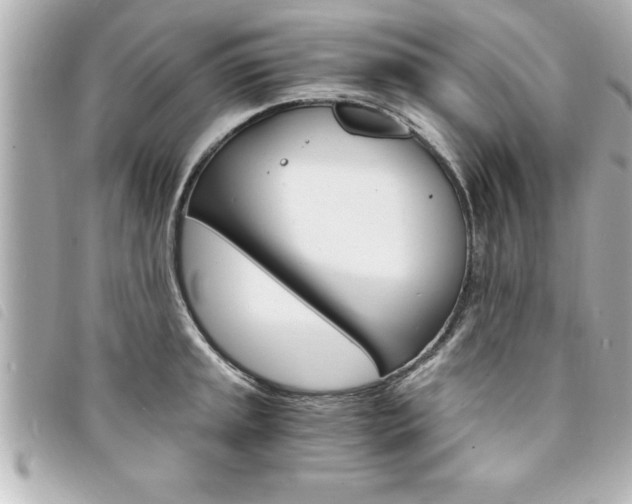 X0000094201045200710260908