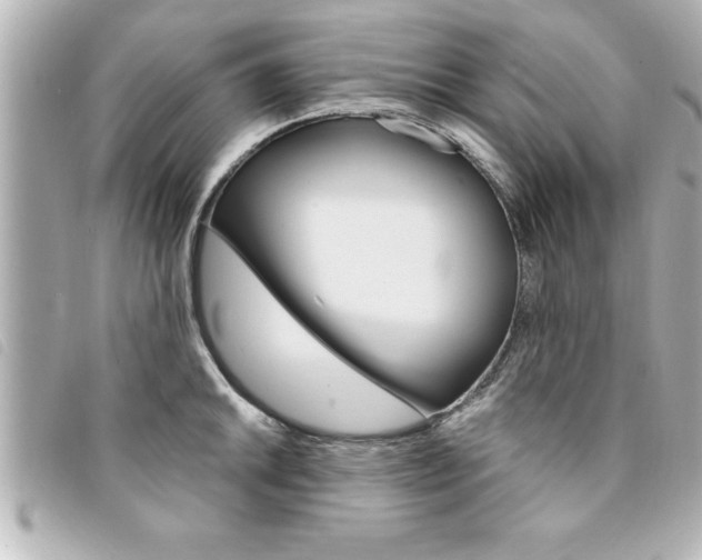 X0000094201046200710260908