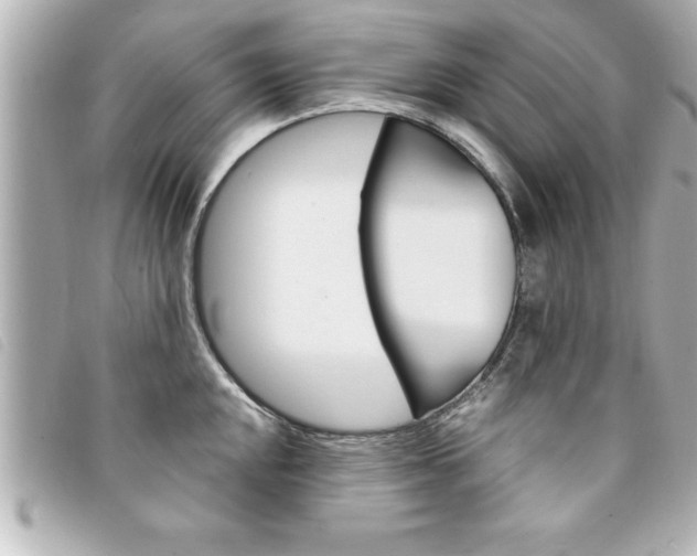 X0000094201048200710260908