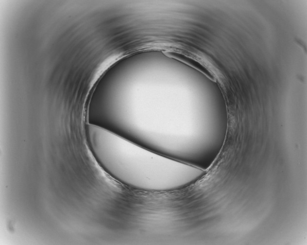 X0000094201050200710260908