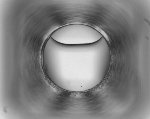 X0000094201051200710260908