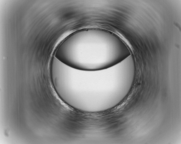 X0000094201053200710260908