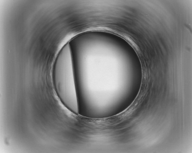 X0000094201054200710260908