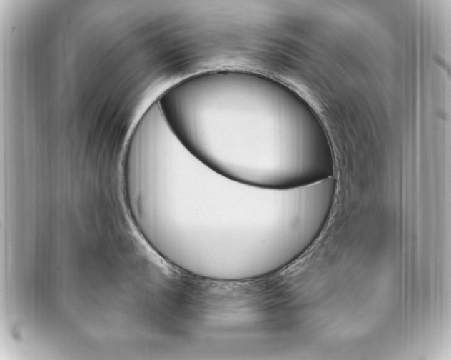 X0000094201056200710260908