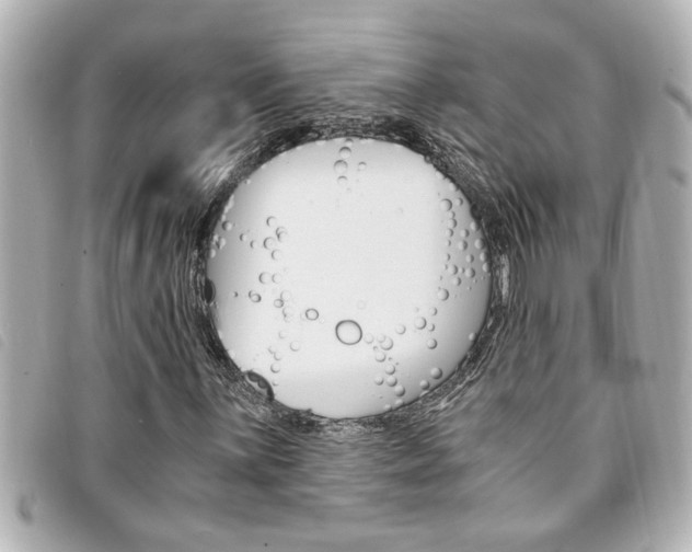 X0000094201059200710260908