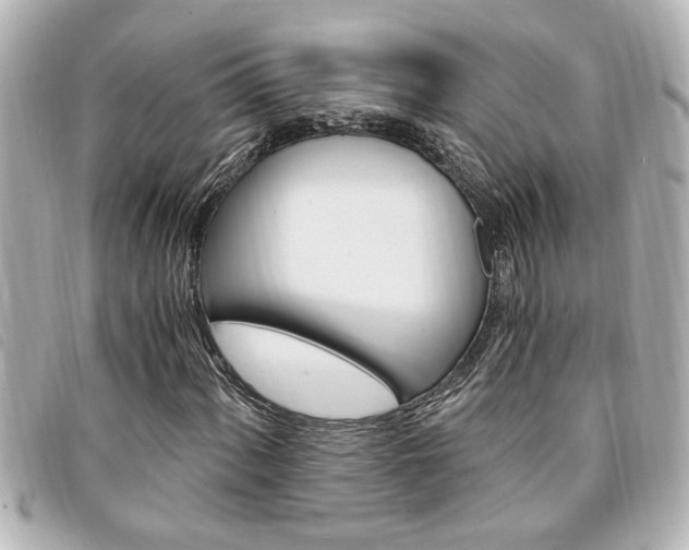X0000094201060200710260908