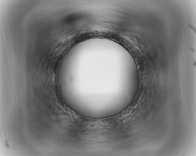 X0000094201061200710260908
