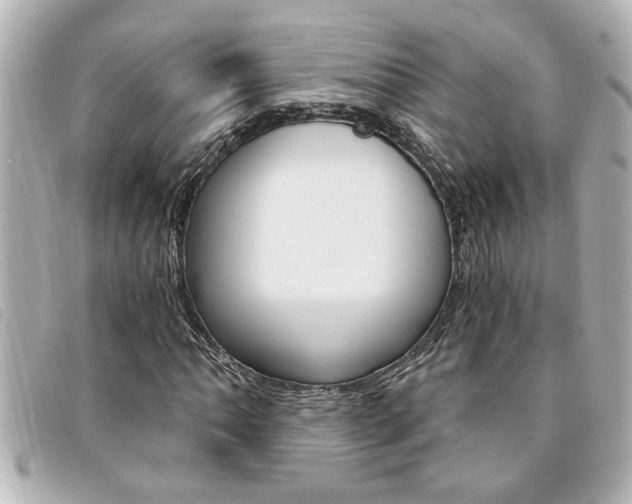 X0000094201062200710260908
