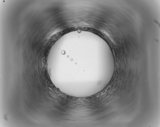 X0000094201063200710260907
