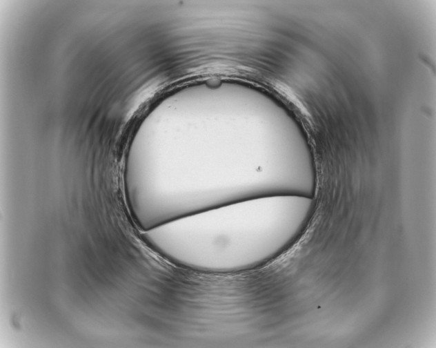 X0000094201067200710260907