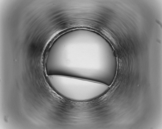 X0000094201068200710260907