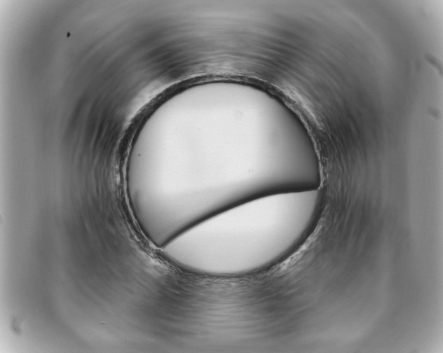 X0000094201070200710260907