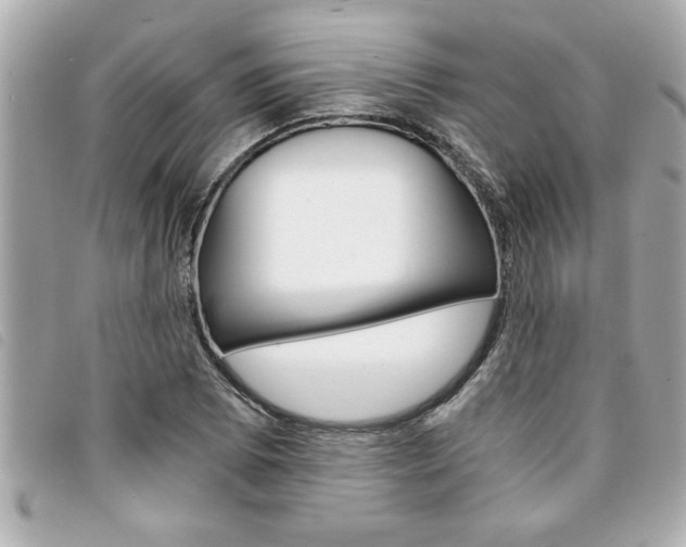 X0000094201073200710260907