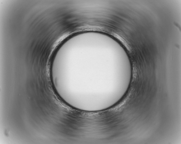 X0000094201074200710260907