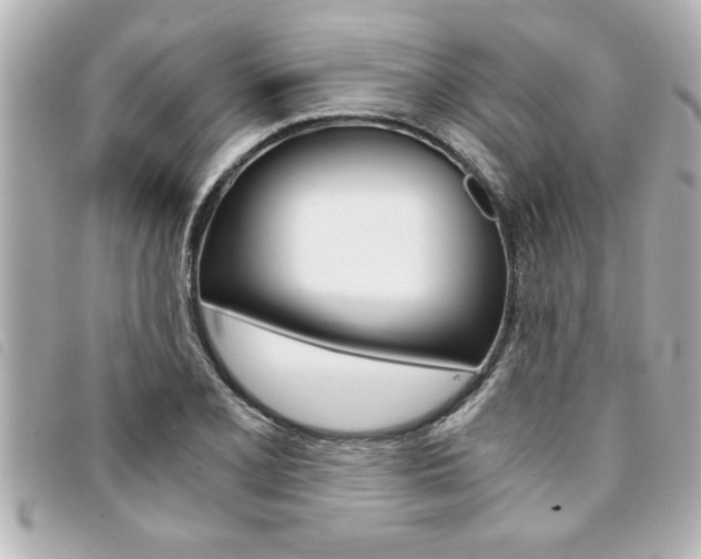 X0000094201077200710260907