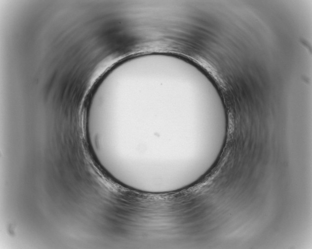 X0000094201078200710260907