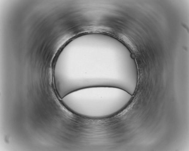 X0000094201079200710260907