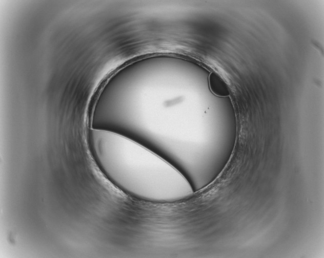 X0000094201080200710260907