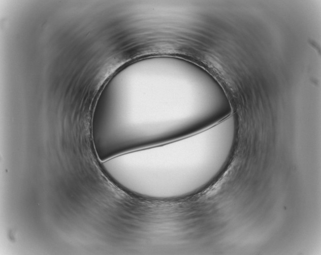 X0000094201081200710260907