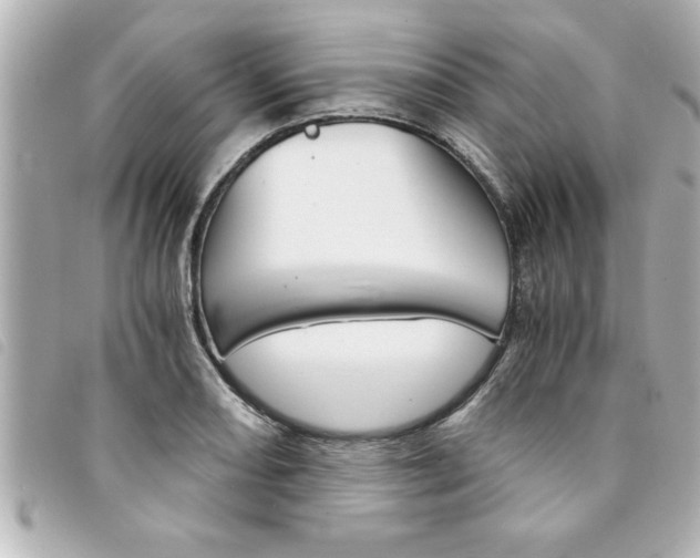 X0000094201082200710260907